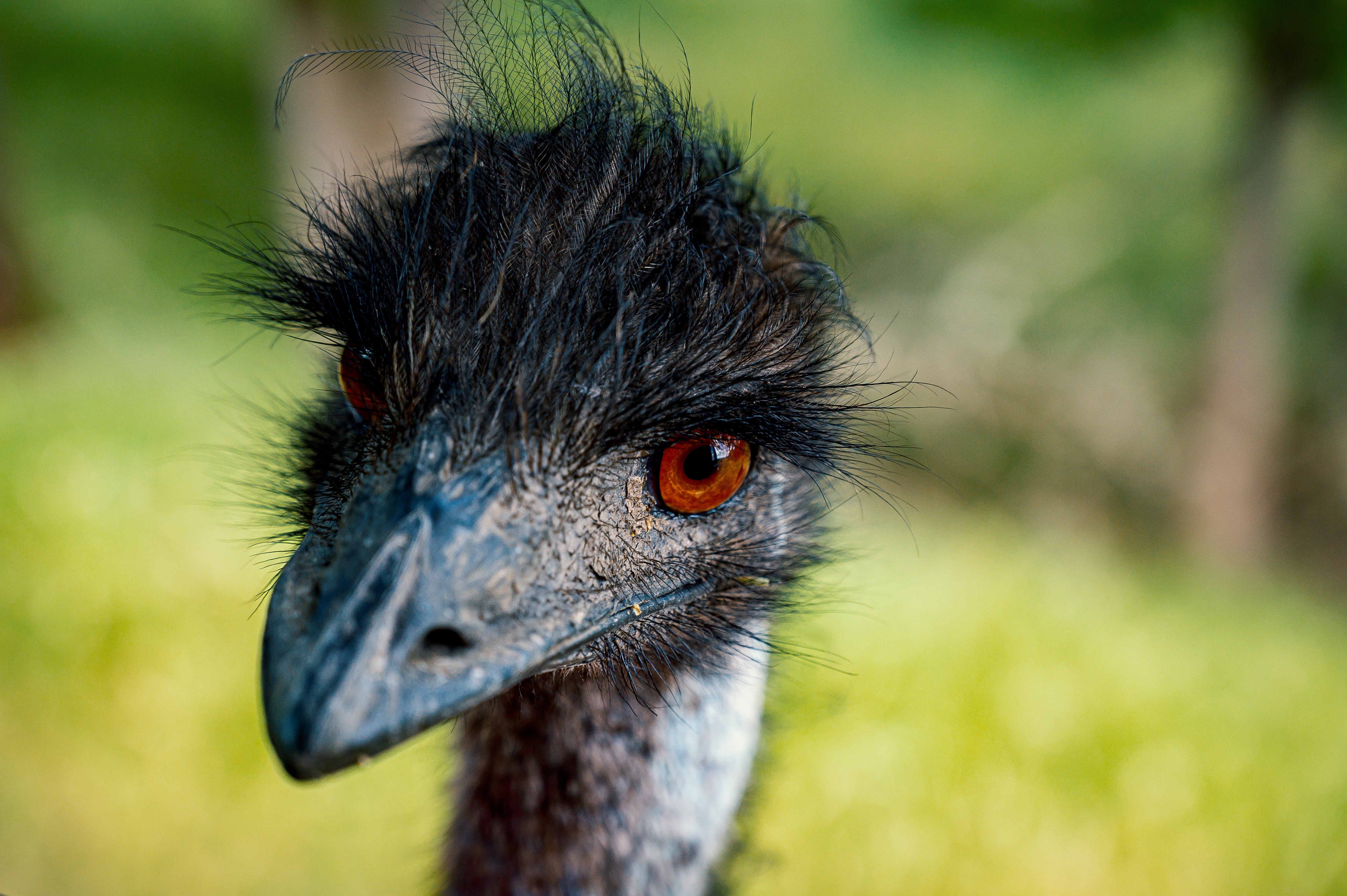 Emu2